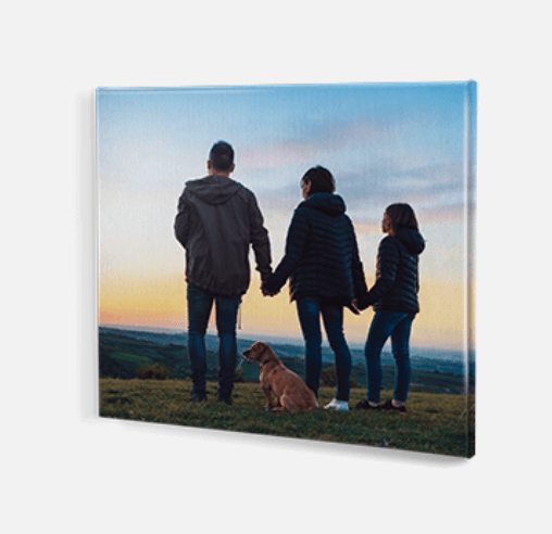 Canvas Premium