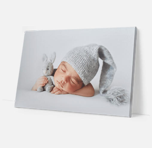 Canvas Premium